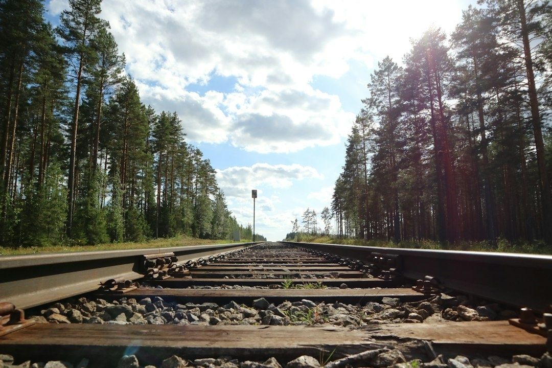 Metsämaisemaan johtavat junakiskot aurinkoisena kesäpäivänä